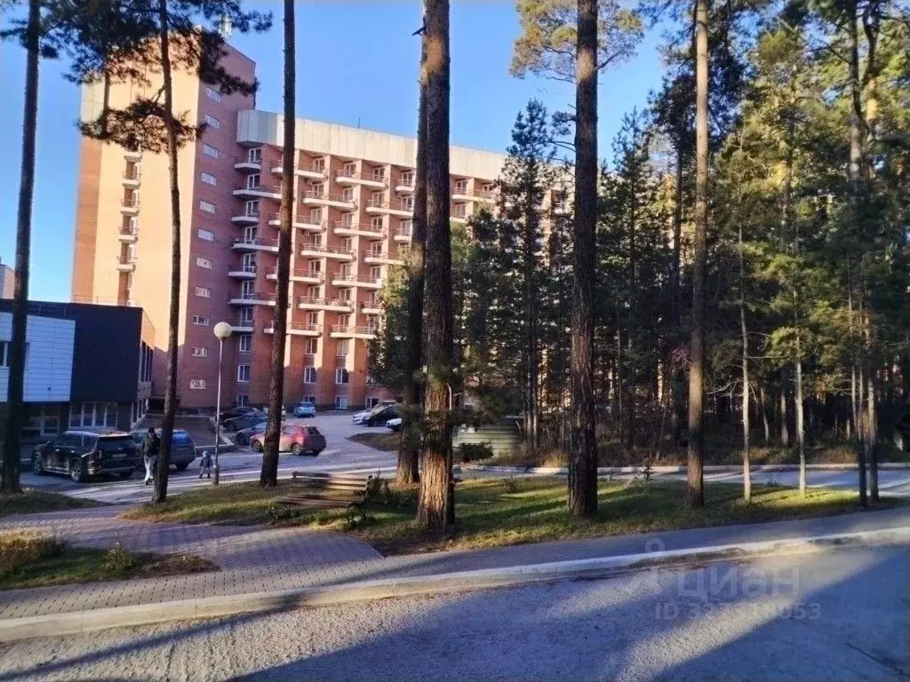 Офис в Новосибирская область, Бердск МК Сибиряк тер., к1 (46 м) - Фото 0