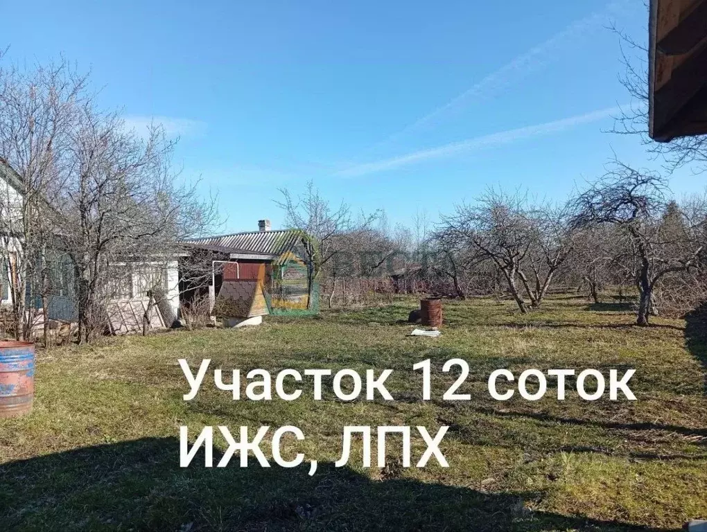 Участок в Ленинградская область, Ломоносовский район, Пениковское ... - Фото 1