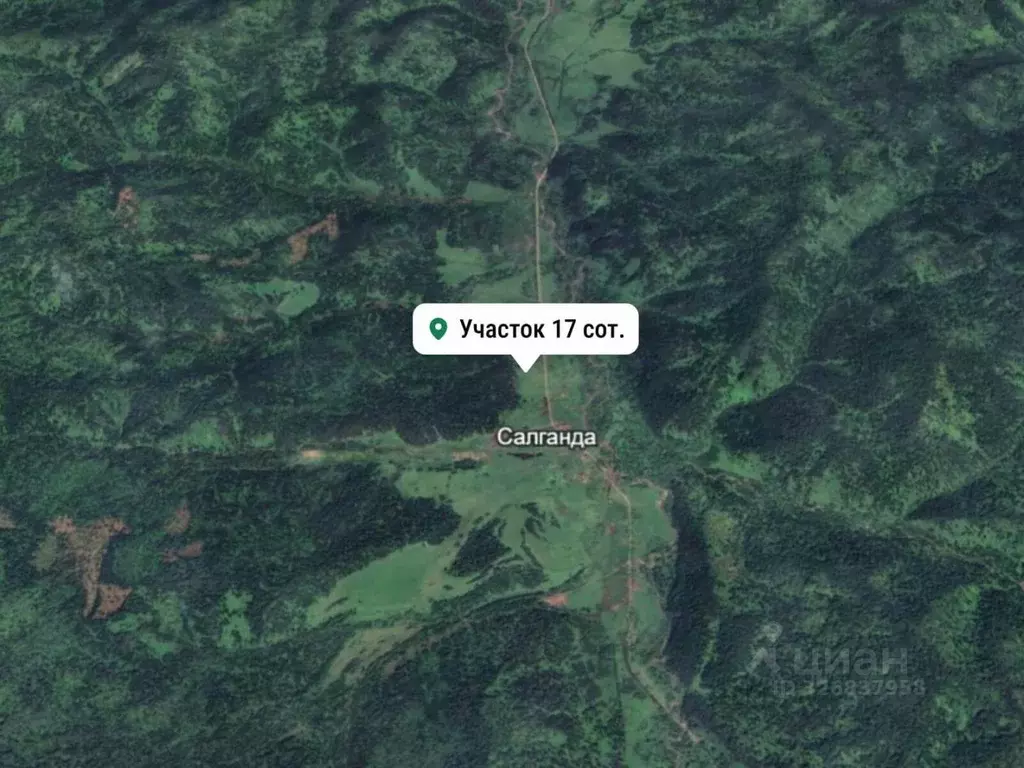 Участок в Алтай, Чойский район, Паспаульское с/пос, с. Салганда  (17.0 ... - Фото 1