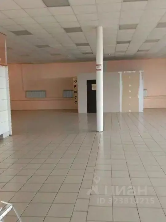 Торговая площадь в Алтайский край, Третьяковский район, Староалейский ... - Фото 2