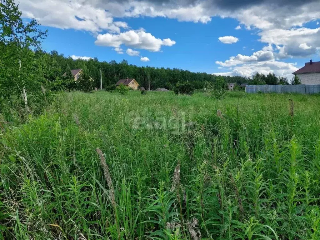 Участок в Челябинская область, Чебаркульский район, Теренкуль кп  ... - Фото 1