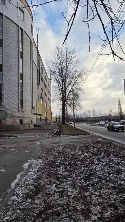 Помещение свободного назначения в Ярославская область, Ярославль ... - Фото 2