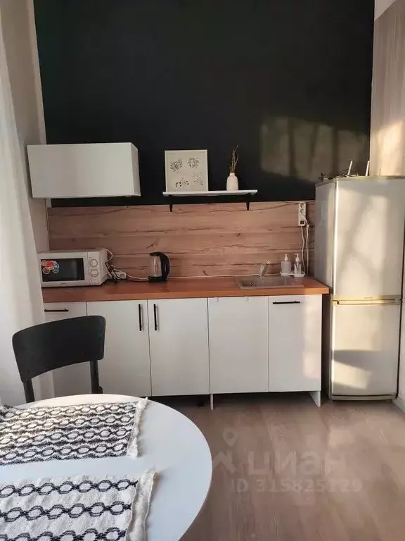 Студия Самарская область, Самара Чапаевская ул., 94 (18.0 м) - Фото 1