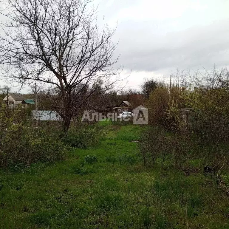 Участок в Белая Калитва, СНТ Садовод (6.7 м) - Фото 1