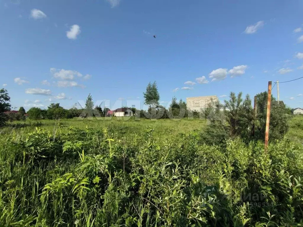 Участок в Новосибирская область, Коченевский район, Озерное ДНТ ул. ... - Фото 0