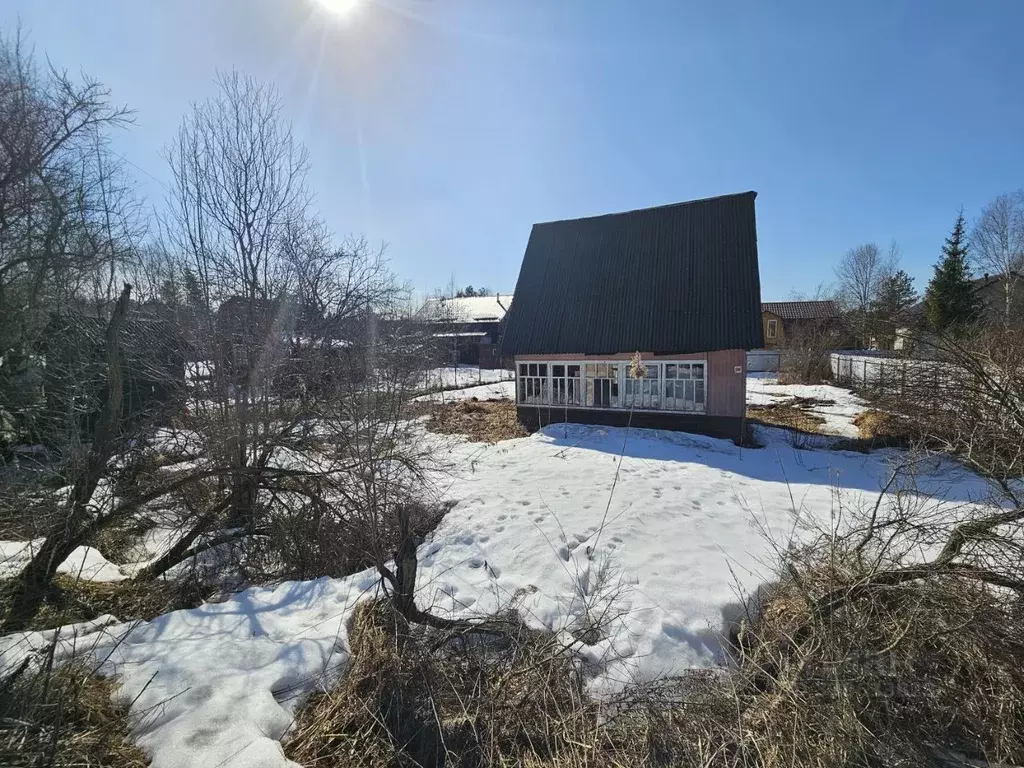 Участок в Московская область, Солнечногорск городской округ, Химик СНТ ... - Фото 1