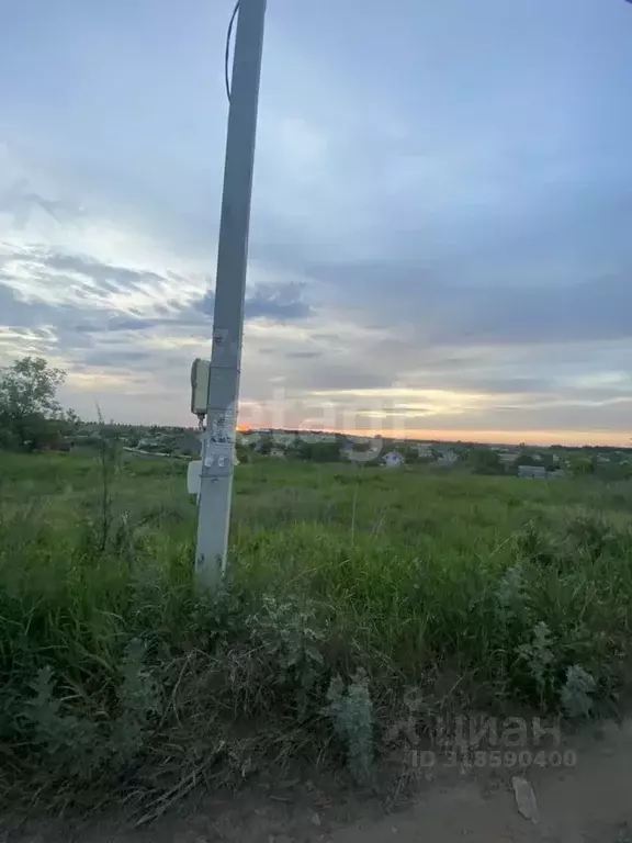 Участок в Белгородская область, Шебекинский муниципальный округ, ... - Фото 1