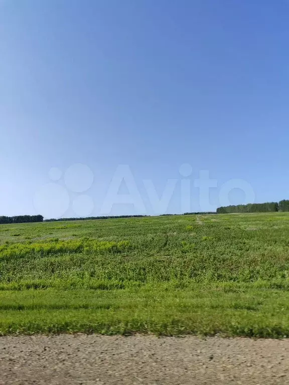 Участок 7,6 сот. (ИЖС) - Фото 0