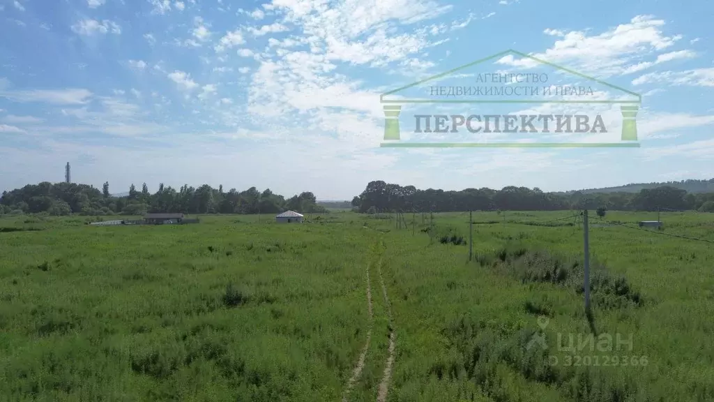 Участок в Приморский край, Артем ул. Павла Познякова, 54 (12.26 сот.) - Фото 1
