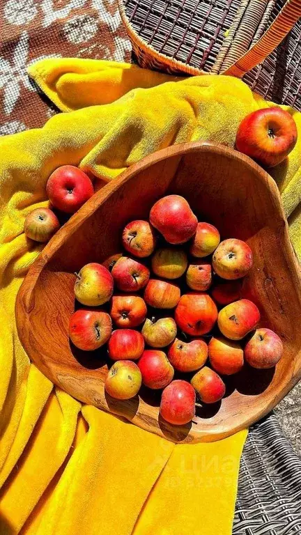 Участок в Краснодарский край, Краснодар пос. Знаменский, ул. ... - Фото 1