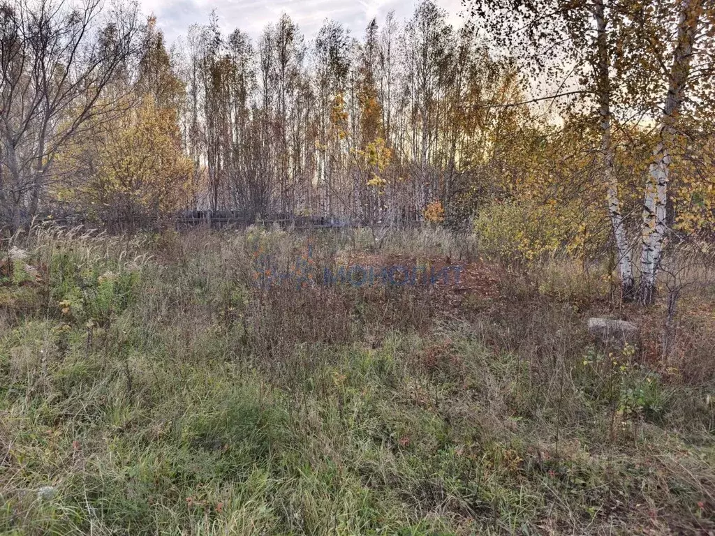 Участок в Нижегородская область, Нижний Новгород с. Новые Ключищи, ул. ... - Фото 1