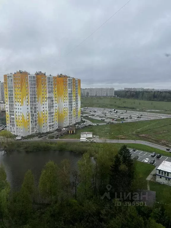 1-к кв. Московская область, Солнечногорск городской округ, Голубое пгт ... - Фото 0