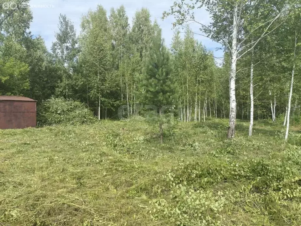 Участок в Станционный сельсовет, ДНТ Фартовый, Каменская улица (7.2 м) - Фото 0