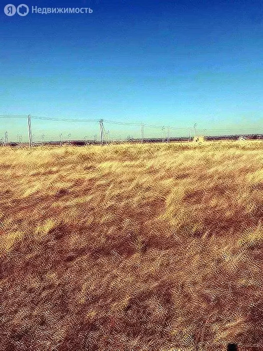 Участок в село Патруши, Лесная улица, 16 (15.7 м) - Фото 2