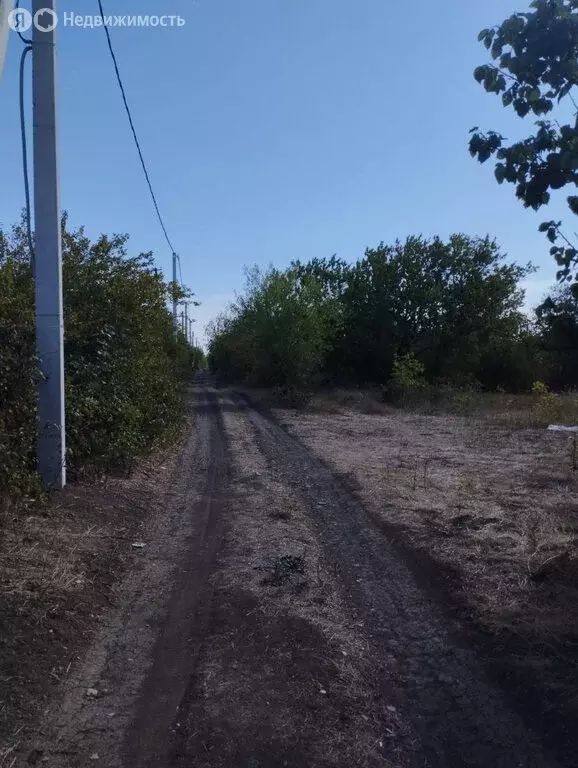 Участок в Широчанка, садовое товарищество Строитель, 3-я дорожка (5 м) - Фото 0