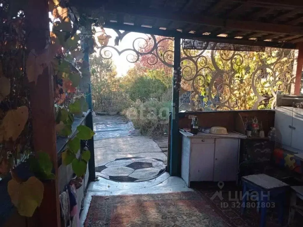 Участок в Амурская область, Благовещенский район, с. Чигири ул. ... - Фото 1