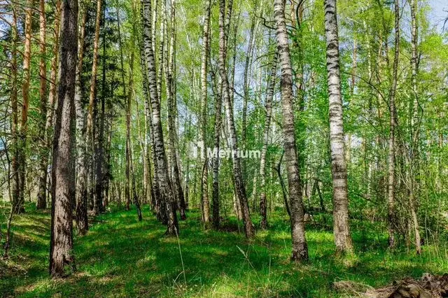 Участок 5 га (ИЖС) - Фото 0