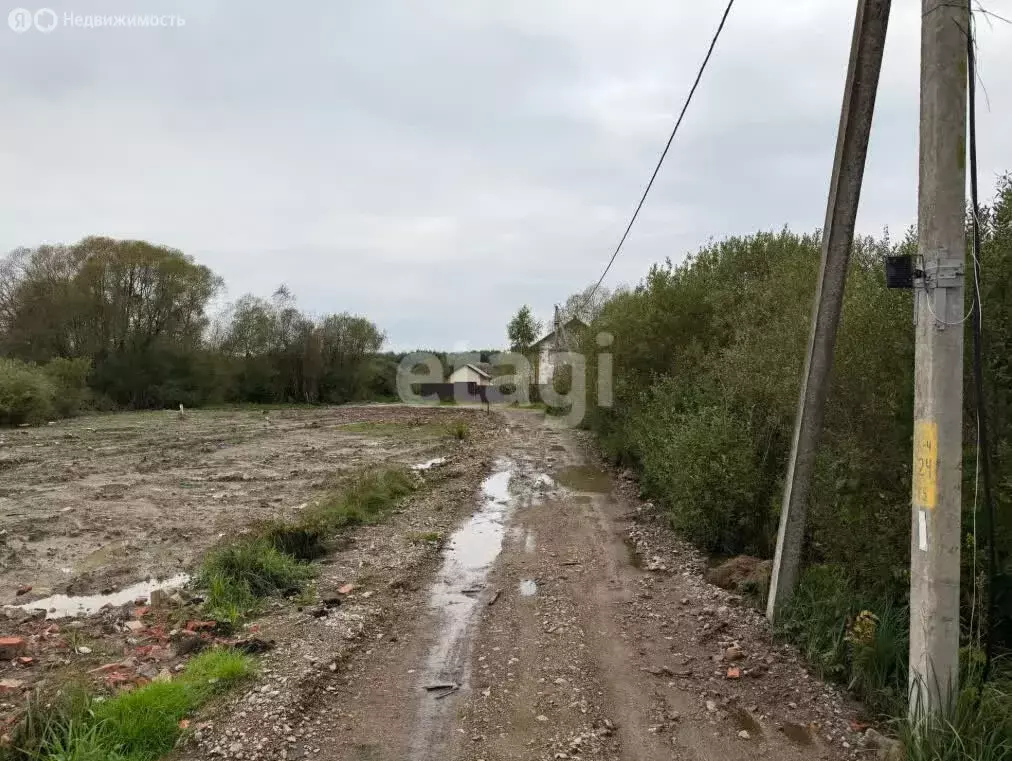 Участок в Калининградская область, Гурьевский муниципальный округ, ... - Фото 0