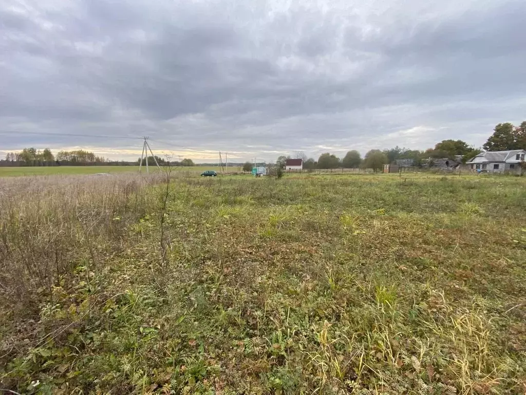 Участок в Ленинградская область, Гатчинский муниципальный округ, д. ... - Фото 1