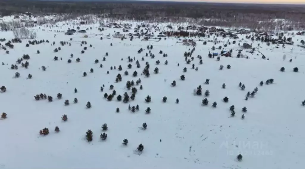 Участок в Алтайский край, Первомайский район, с. Фирсово, Рощино мкр ... - Фото 1