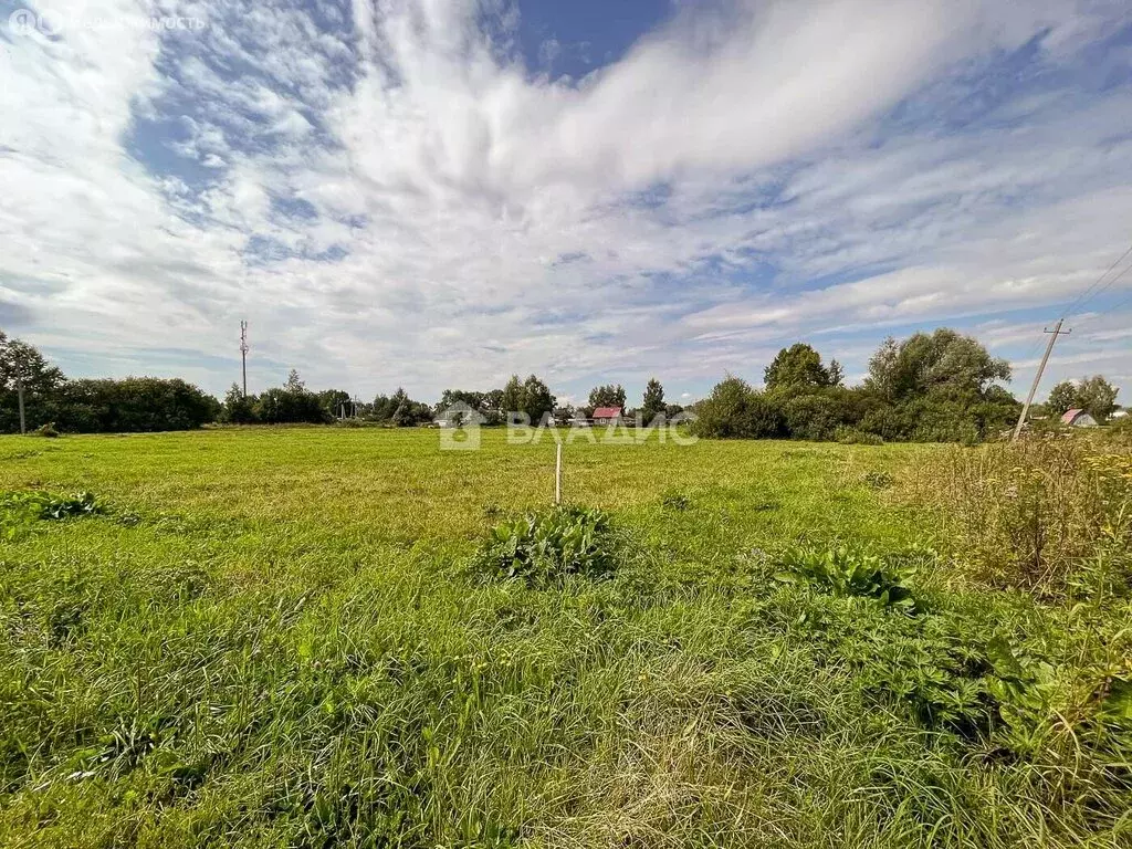 Участок в Владимирская область, Камешковский муниципальный округ, ... - Фото 1