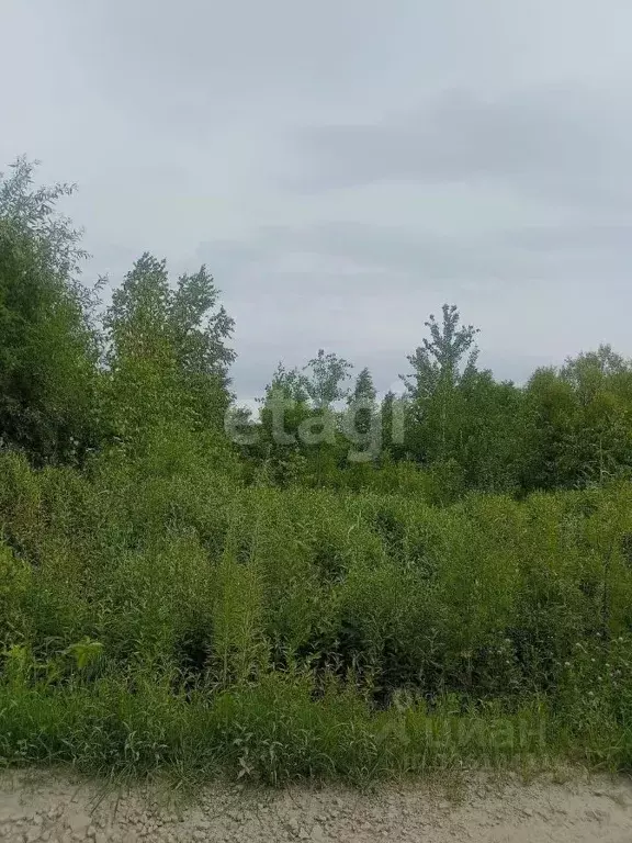 Участок в Хабаровский край, Хабаровский район, с. Мирное  (10.0 сот.) - Фото 1