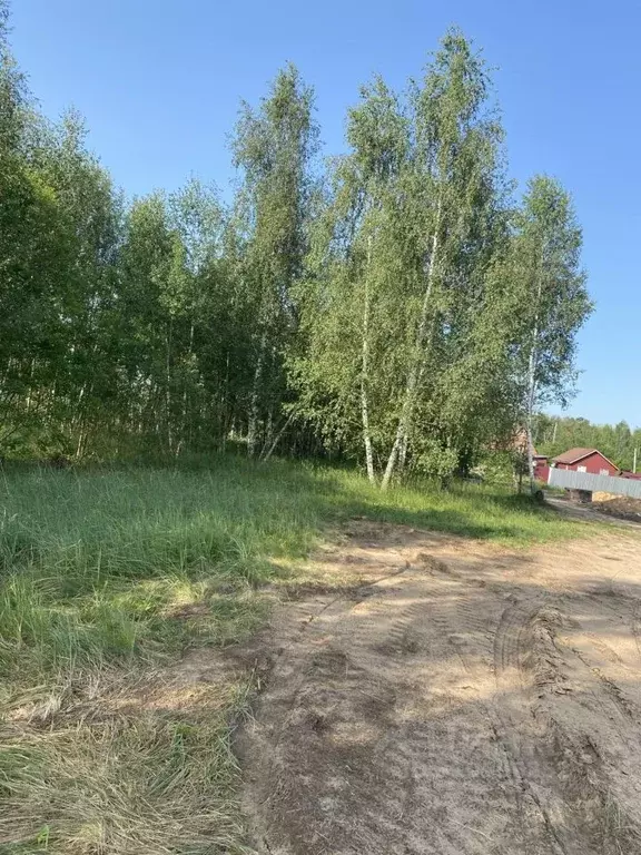 Участок в Московская область, Коломна городской округ, с. Чанки  (10.0 ... - Фото 1
