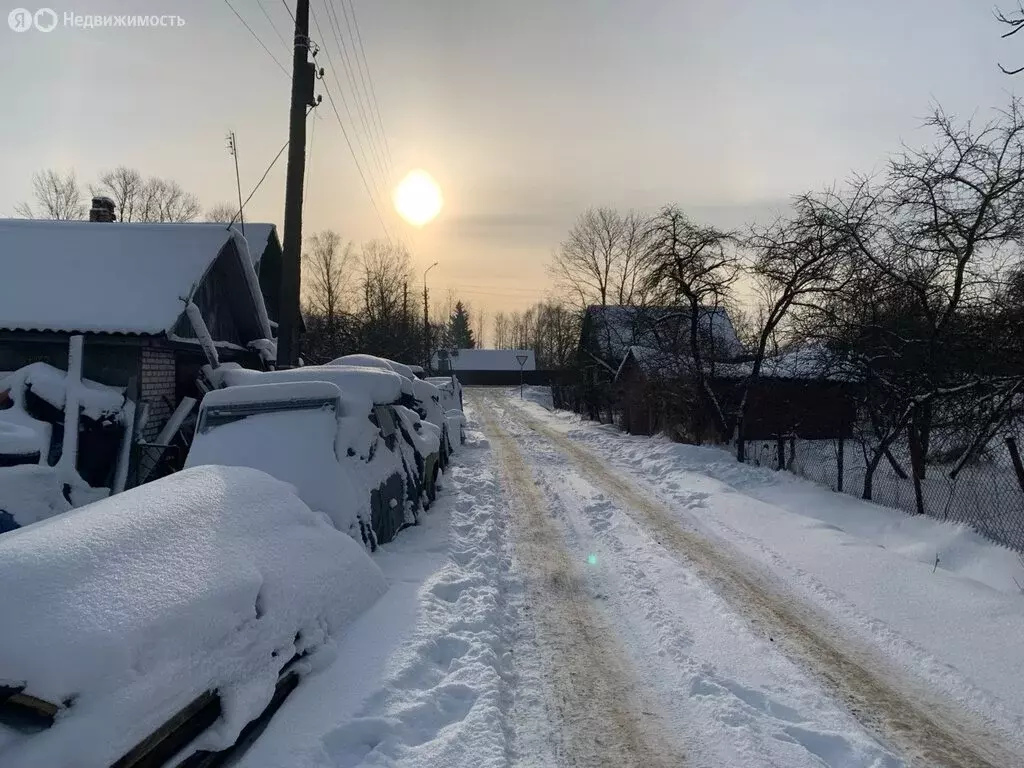 Дом в Остров, переулок Клавы Назаровой, 1 (46.2 м) - Фото 2