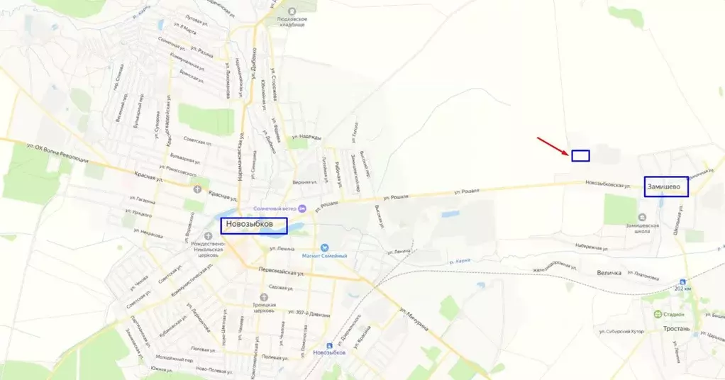 Участок в Брянская область, Новозыбковский городской округ, с. ... - Фото 1