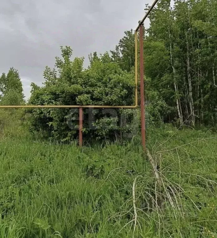 Участок в Новосибирская область, Новосибирский район, Кудряшовский ... - Фото 2