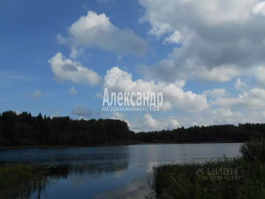 Участок в Новгородская область, Валдайский район, Яжелбицкое с/пос, д. ... - Фото 2