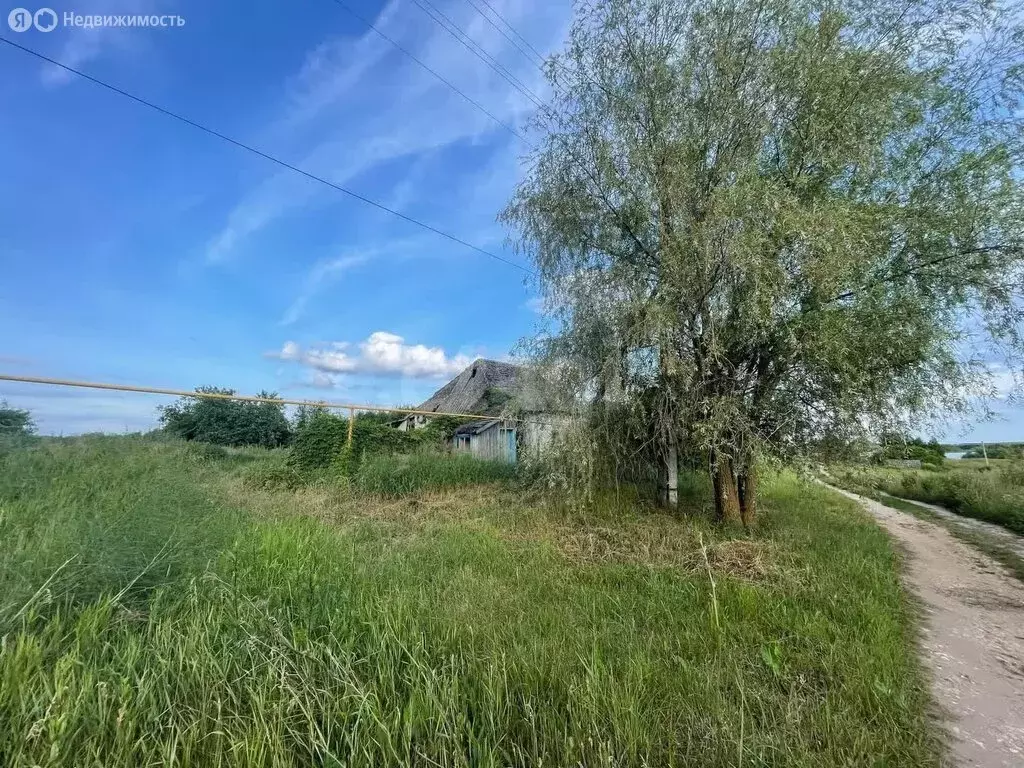 Участок в Шапкино, улица Слобода (33 м) - Фото 0