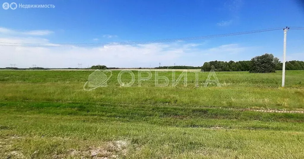 Участок в Тюменский район, село Борки (100 м) - Фото 0
