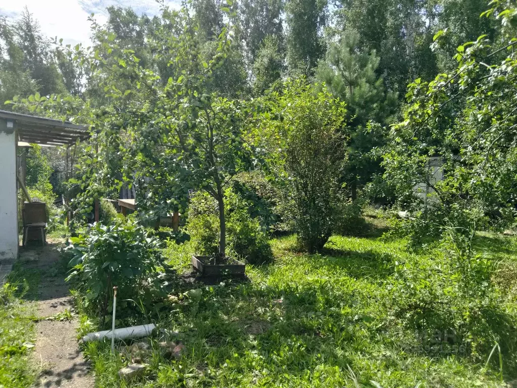 Дом в Челябинская область, Челябинск Металлург СНТ, Квартал 3-й уч,  ... - Фото 2