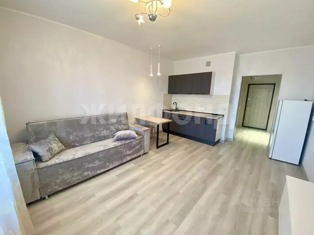 Студия Новосибирская область, Новосибирск Светлановская ул., 52/2 ... - Фото 1