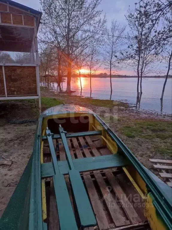 Участок в Ростовская область, Багаевский район, Манычское с/пос, ... - Фото 1