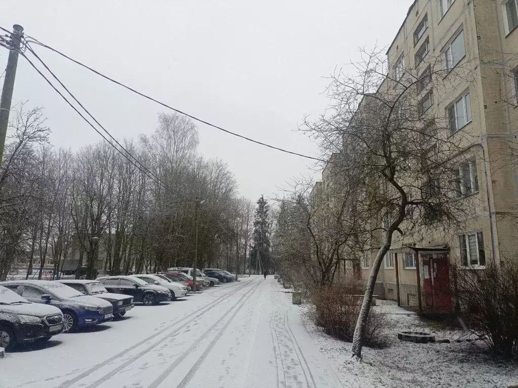 1-к кв. Ленинградская область, Гатчинский муниципальный округ, д. ... - Фото 1