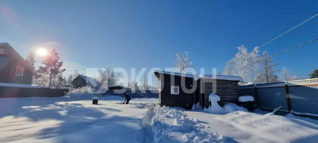 Участок в Ленинградская область, Кировский район, Синявинское ... - Фото 1