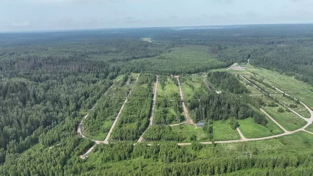 Участок в Ленинградская область, Приозерский район, Раздольевское ... - Фото 2