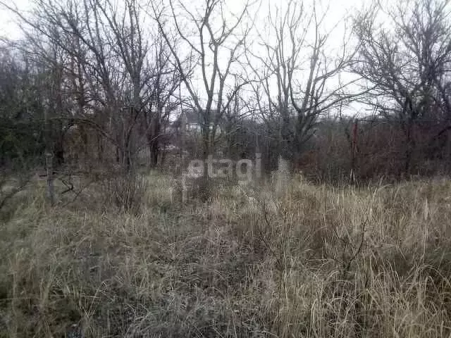 Участок в Краснодарский край, Ейск Лотос СНТ,  (5.0 сот.) - Фото 1