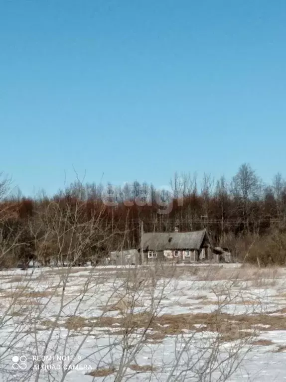 Участок в Псковская область, Палкинский район, д. Букино  (25.0 сот.) - Фото 0