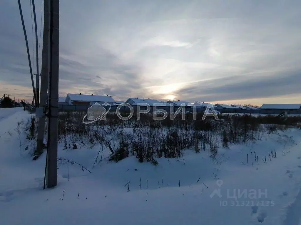 Участок в Тюменская область, Вагайский район, д. Елань Еланская ул., 5 ... - Фото 1