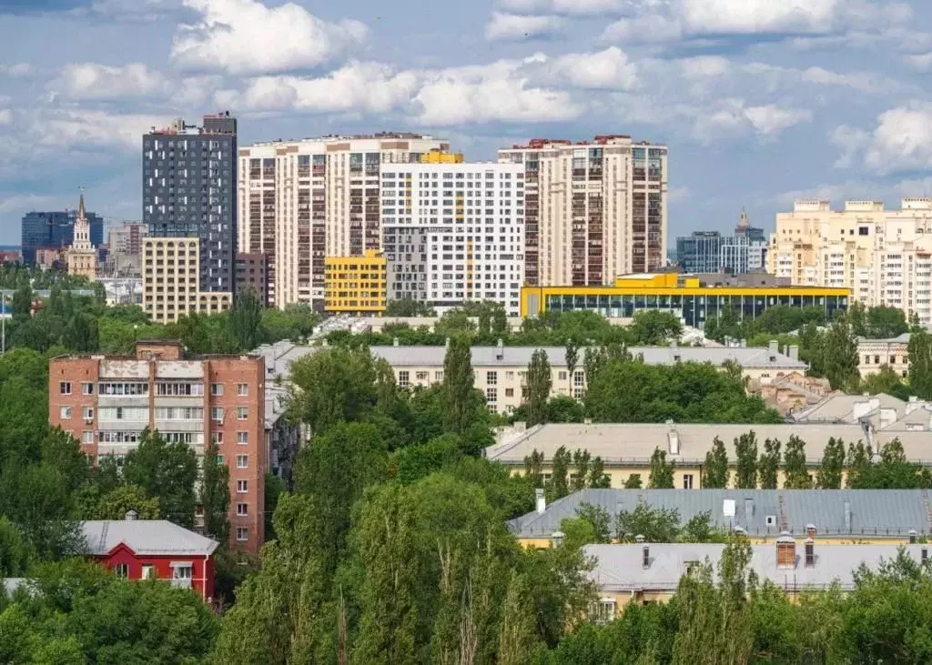 1-к кв. Воронежская область, Воронеж ул. Летчика Колесниченко, 65А ... - Фото 2