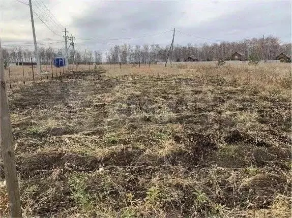 Участок в Челябинская область, Сосновский муниципальный округ, д. ... - Фото 2