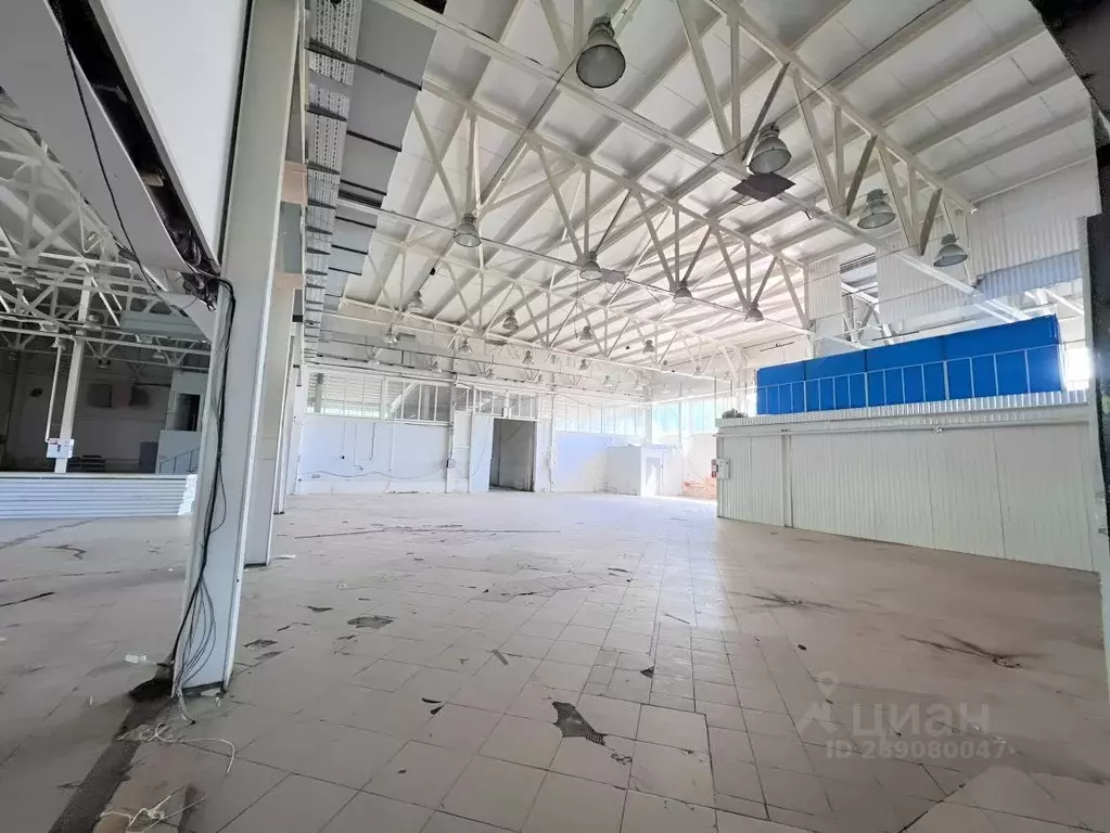 Производственное помещение в Смоленская область, Вязьма Сычевское ш., ... - Фото 1