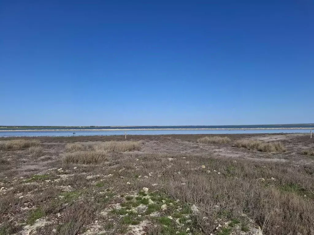 Участок в Крым, Черноморский район, с. Межводное  (540.0 сот.) - Фото 1
