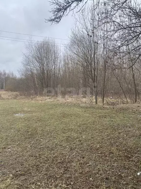 Участок в Московская область, Дмитровский муниципальный округ, д. ... - Фото 0