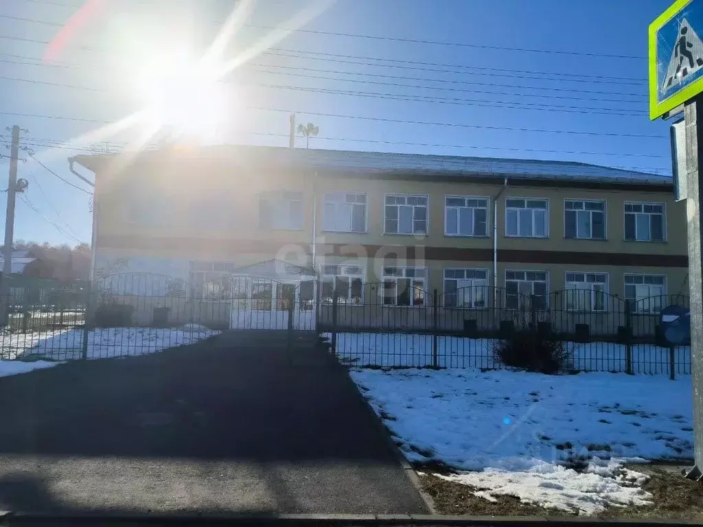 Участок в Новосибирская область, Новосибирский район, Толмачевский ... - Фото 1