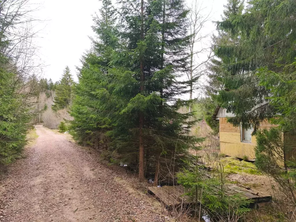 Участок в Выборгский район, Приморское городское поселение, ... - Фото 1