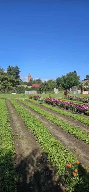Дом в Калининградская область, Правдинск Пионерская ул., 5А (75 м) - Фото 1